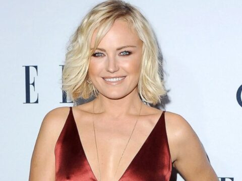 Malin Akerman Net Worth 2021